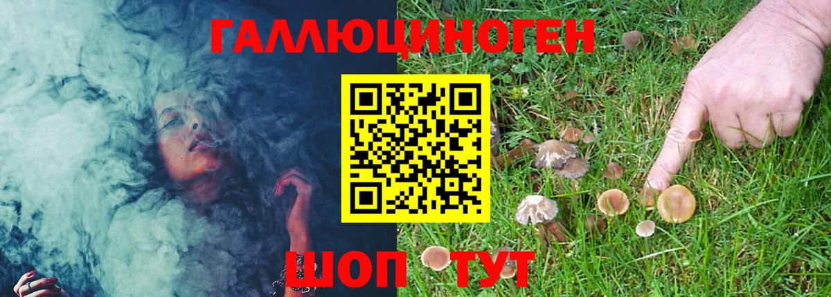Кувандык  Галлюциногенные грибы MAGIC MUSHROOMS  где купить наркоту  Псилоцибиновые грибы Psilocybe  Вход с VPN 